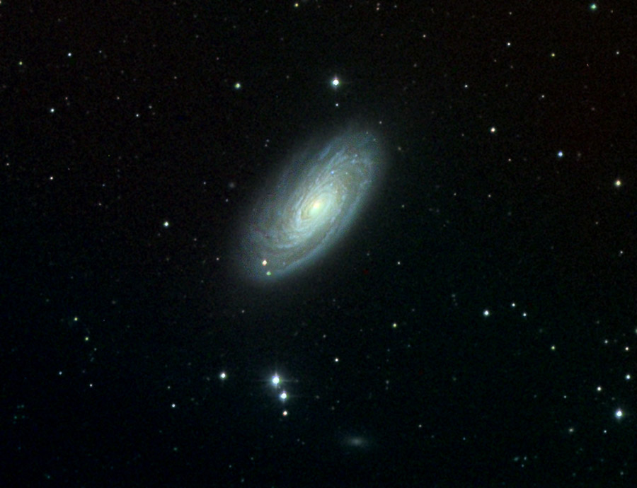 M88, NGC 4501