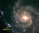 M101 SN 2023ixf supernova